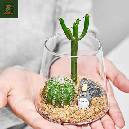 Bouteille en verre pour plante verte et succulente, micro paysage, guirxiété charnue, terrarium bonsaï l'inventaire, décor de bureau 