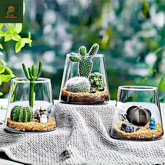 Terrarium Écosphère - Vase en verre moderne pour micro-paysage 