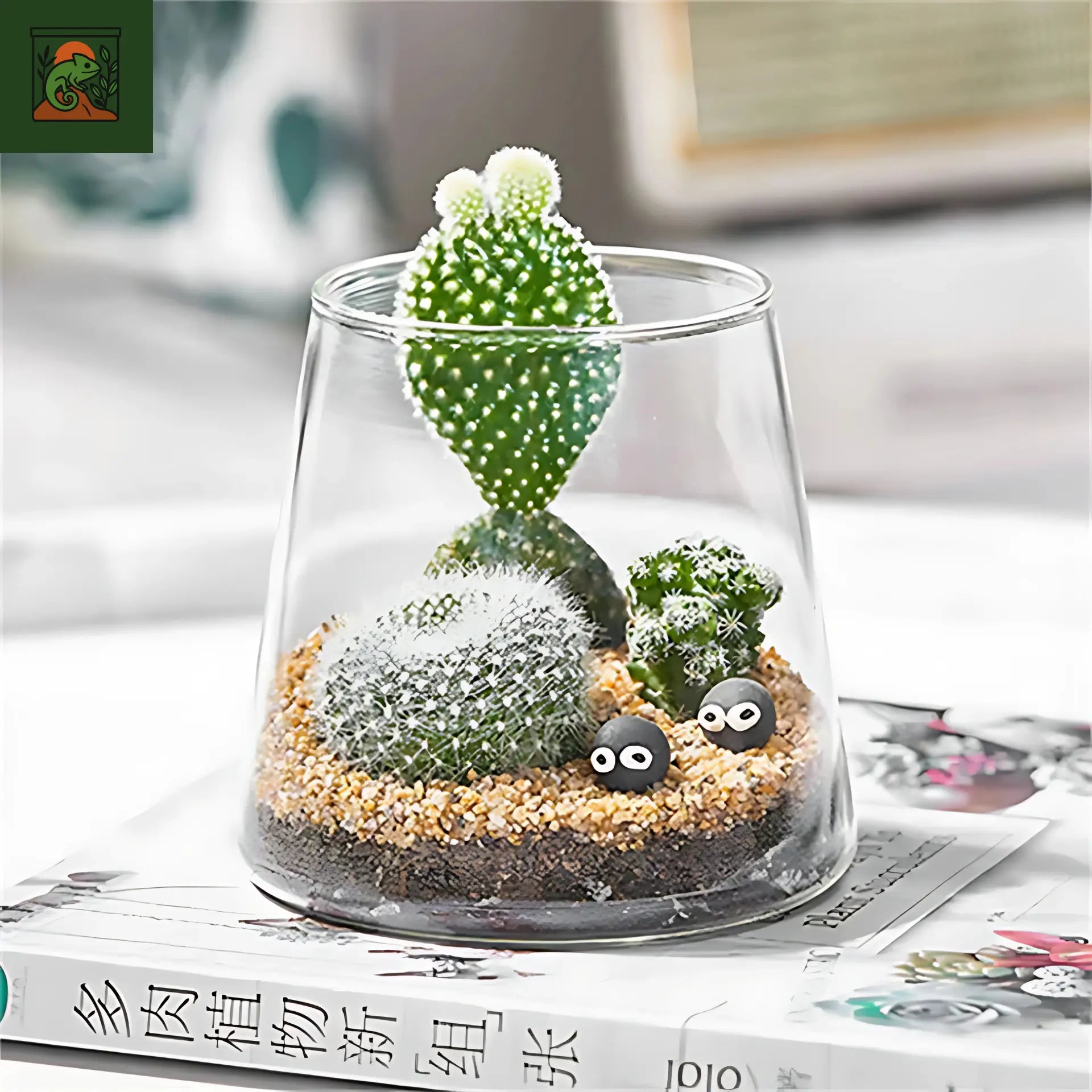 Terrarium Écosphère - Vase en verre moderne pour micro-paysage 