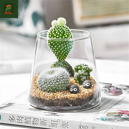 Terrarium Écosphère - Vase en verre moderne pour micro-paysage 