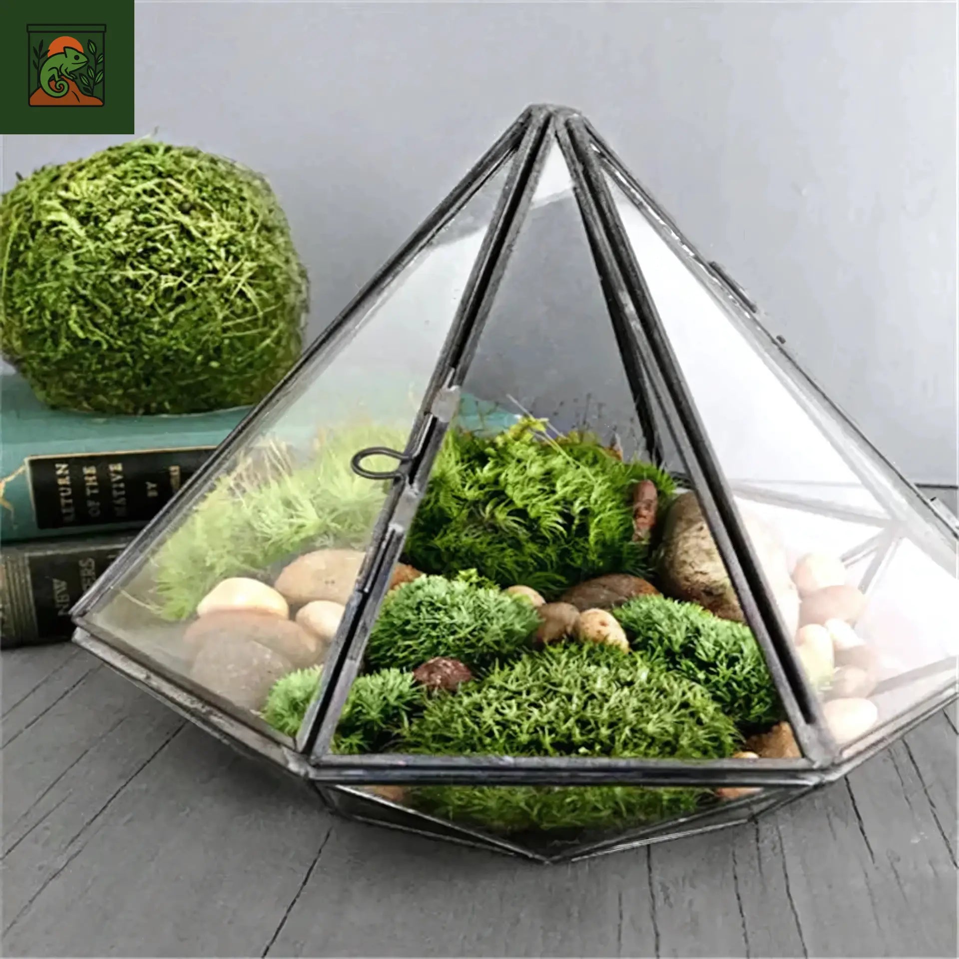 Terrarium Écosphère en Verre Pyramidal 