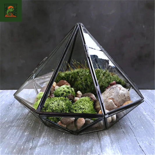 Terrarium Écosphère en Verre Pyramidal 