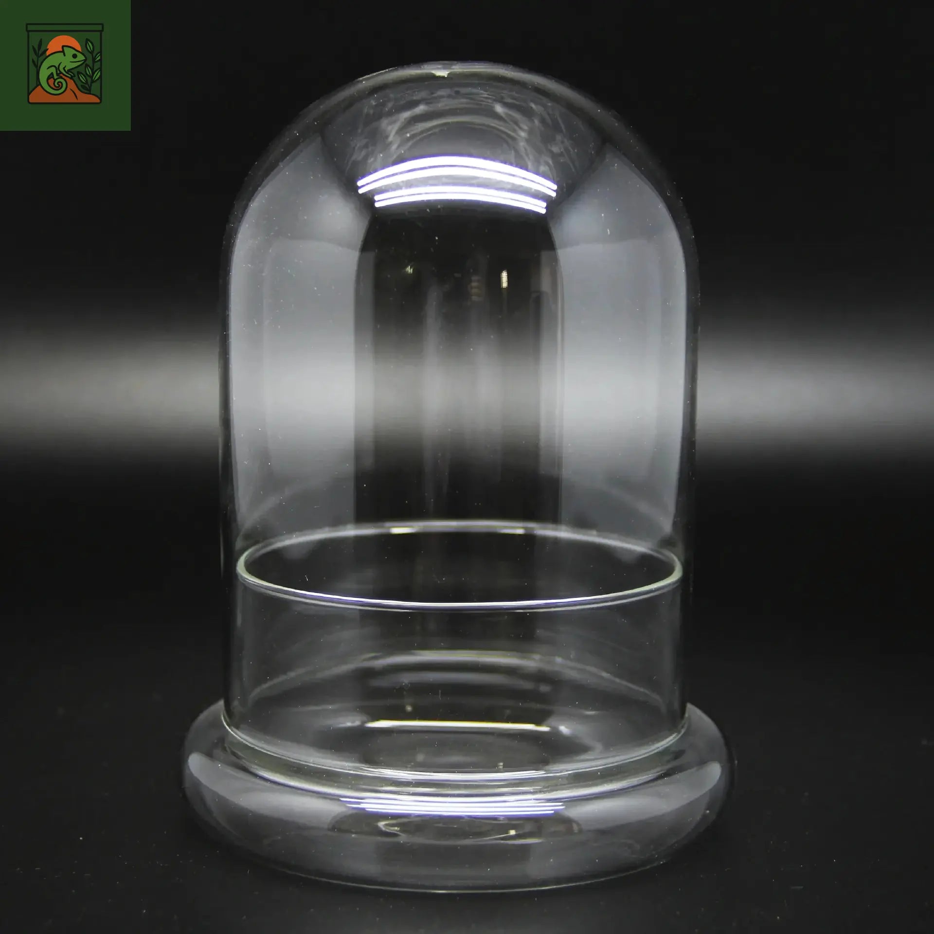 Terrarium Plante Dôme en Verre – Couvercle Créatif & Style Naturel 