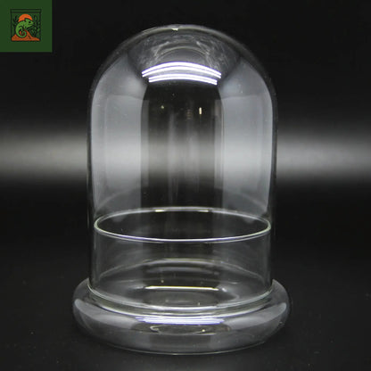 Terrarium Plante Dôme en Verre – Couvercle Créatif & Style Naturel 