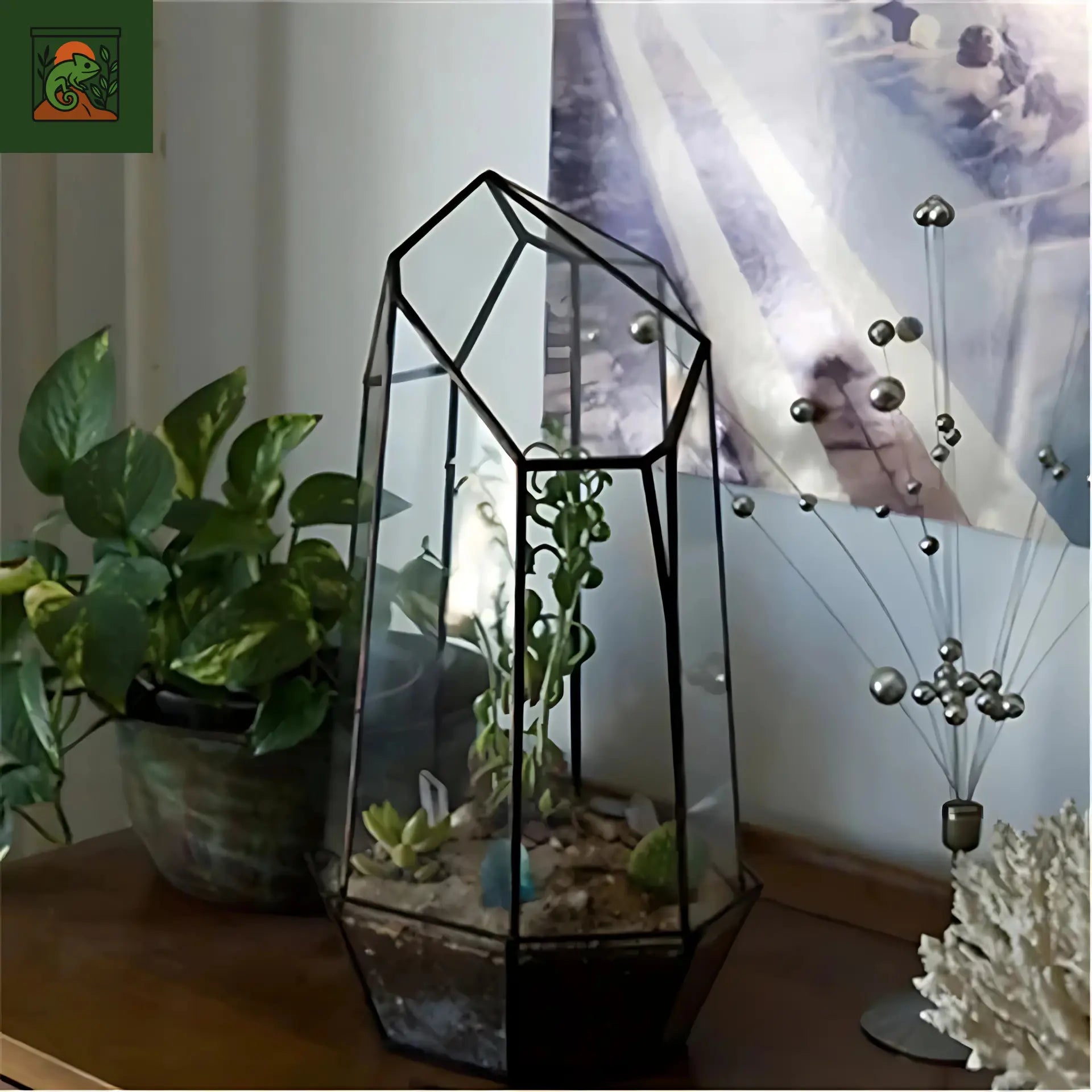 Terrarium Plante Géométrique 