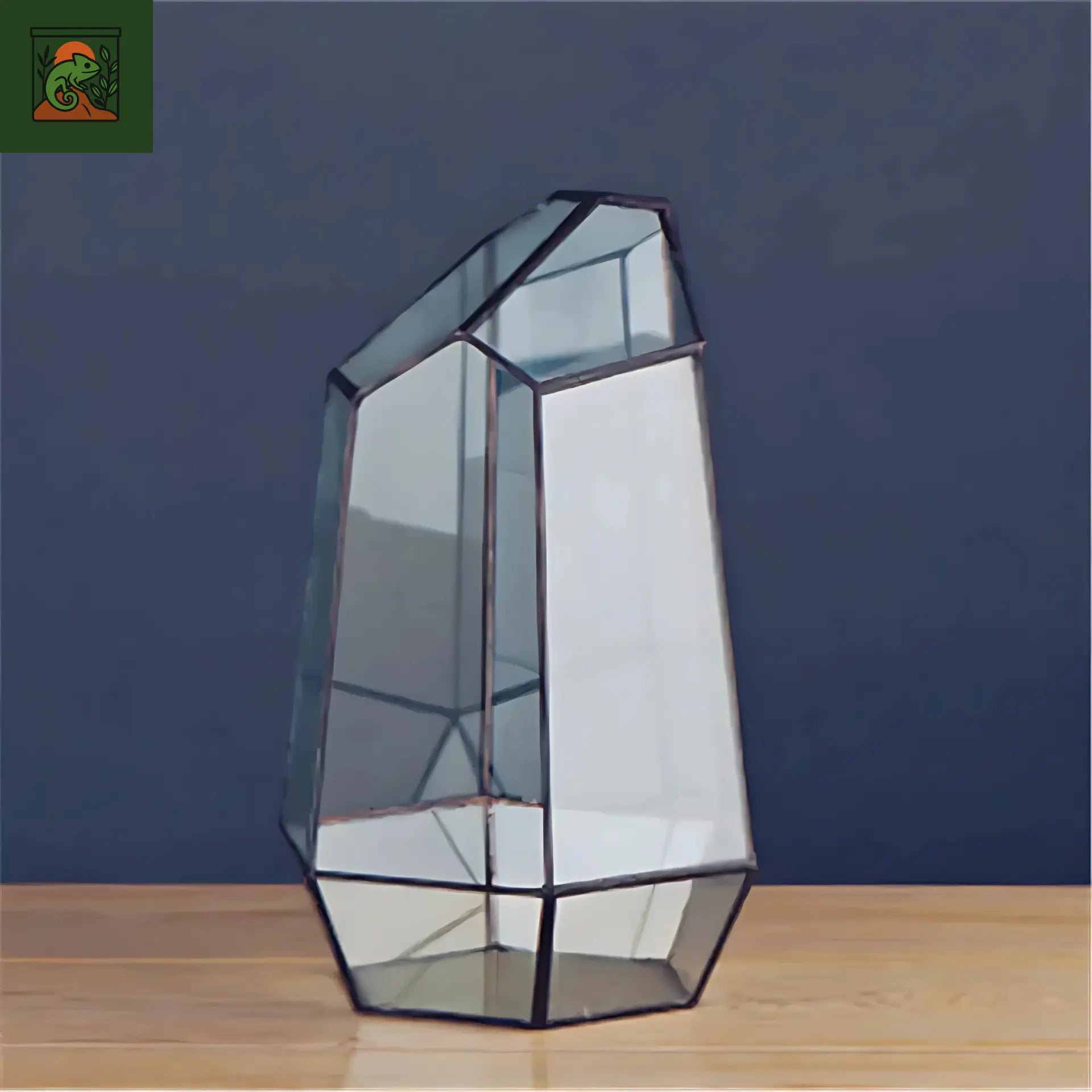 Terrarium Plante Géométrique 