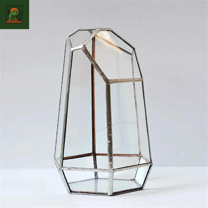 Terrarium Plante Géométrique 