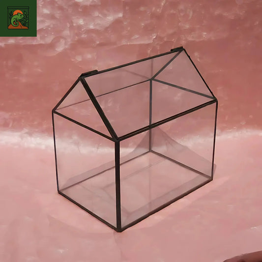 Terrarium Plante Maison décorative en verre 