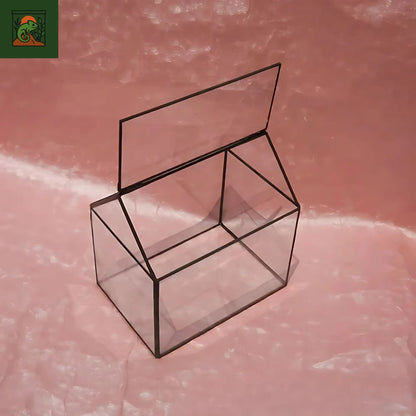 Terrarium Plante Maison décorative en verre 