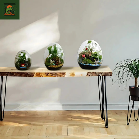 Terrarium Plante Œuf en Verre – Vase Créatif pour Micro Paysage 