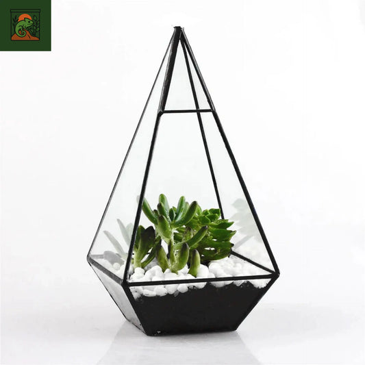 Terrarium a Plante Pyramidale 