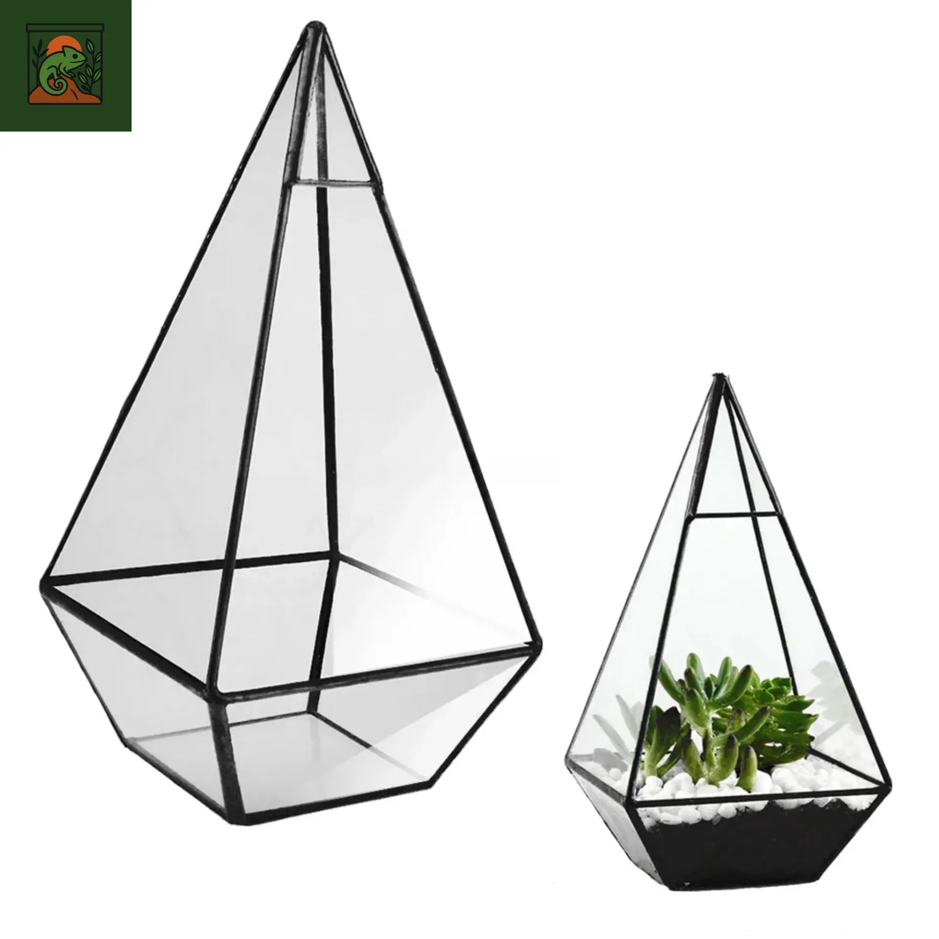 Terrarium a Plante Pyramidale 