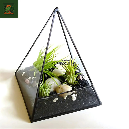 Terrarium Plante Pyramide en verre – géométrique Dakota 