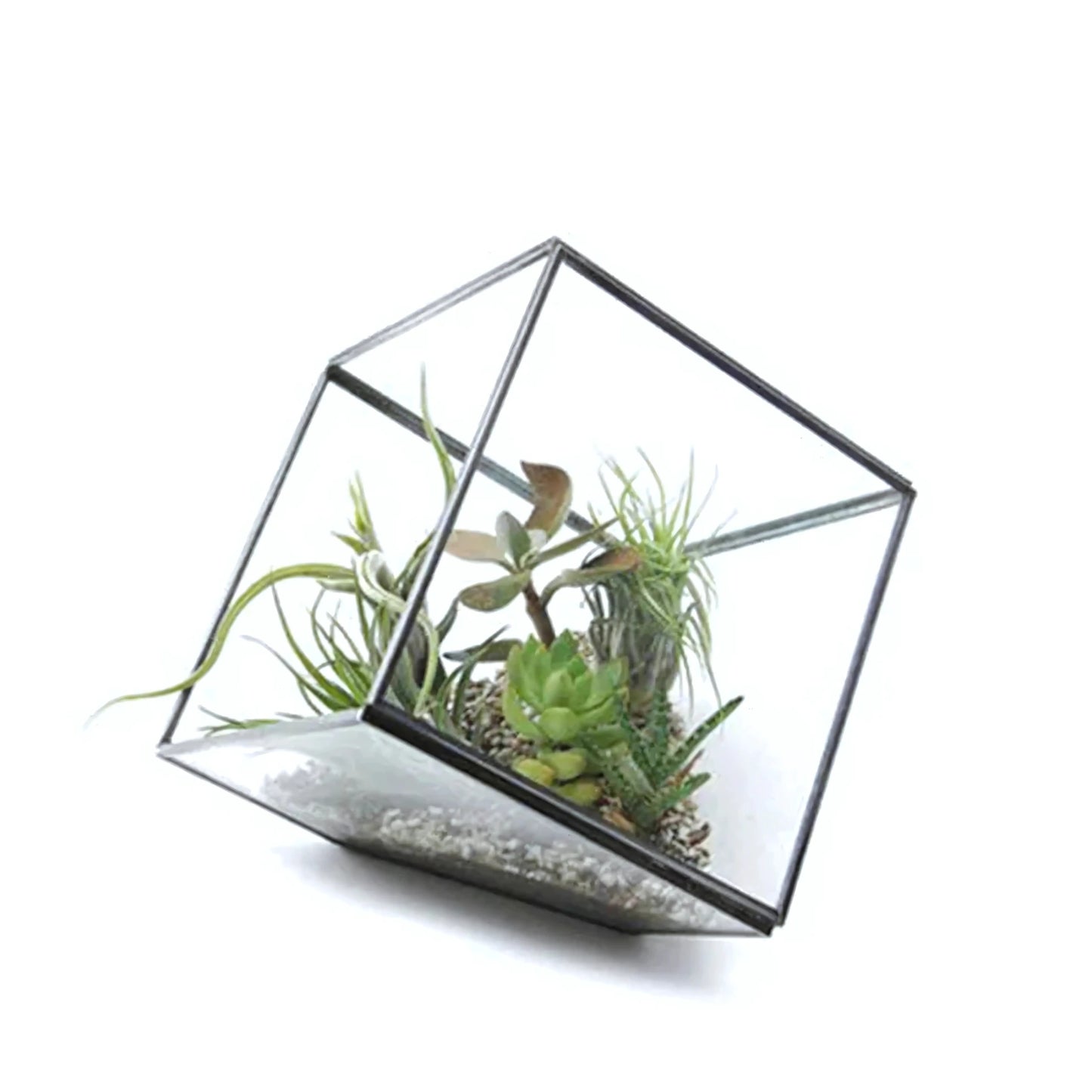 Kit Terrarium en Verre Cube 