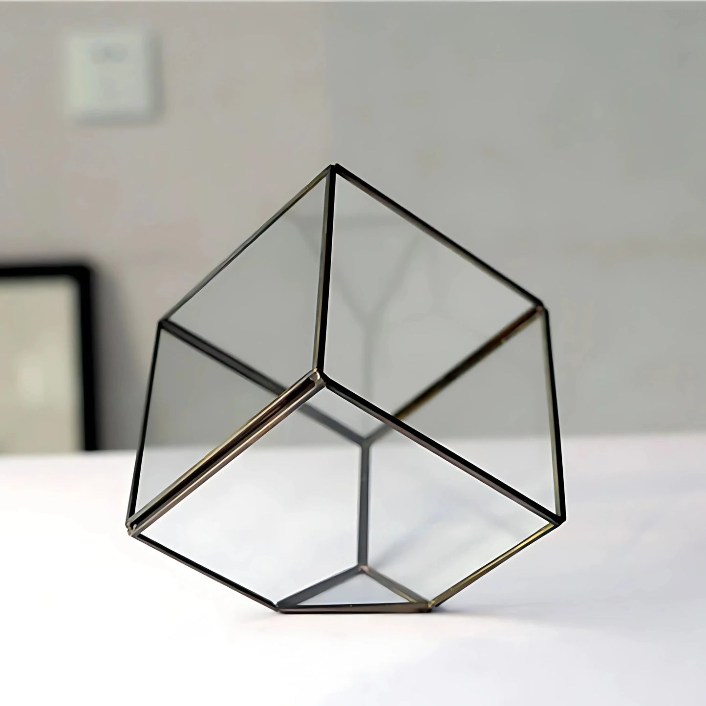 Kit Terrarium en Verre Cube 