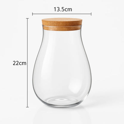 Terrarium Plante en Verre Fermé – Vase Goutte d’Eau avec Liège 