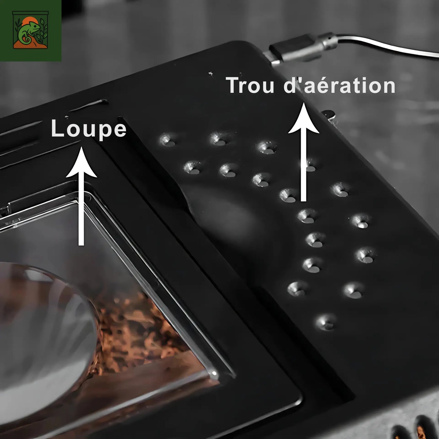 Terrarium Portable Transparent -  Léger et Ventilé 