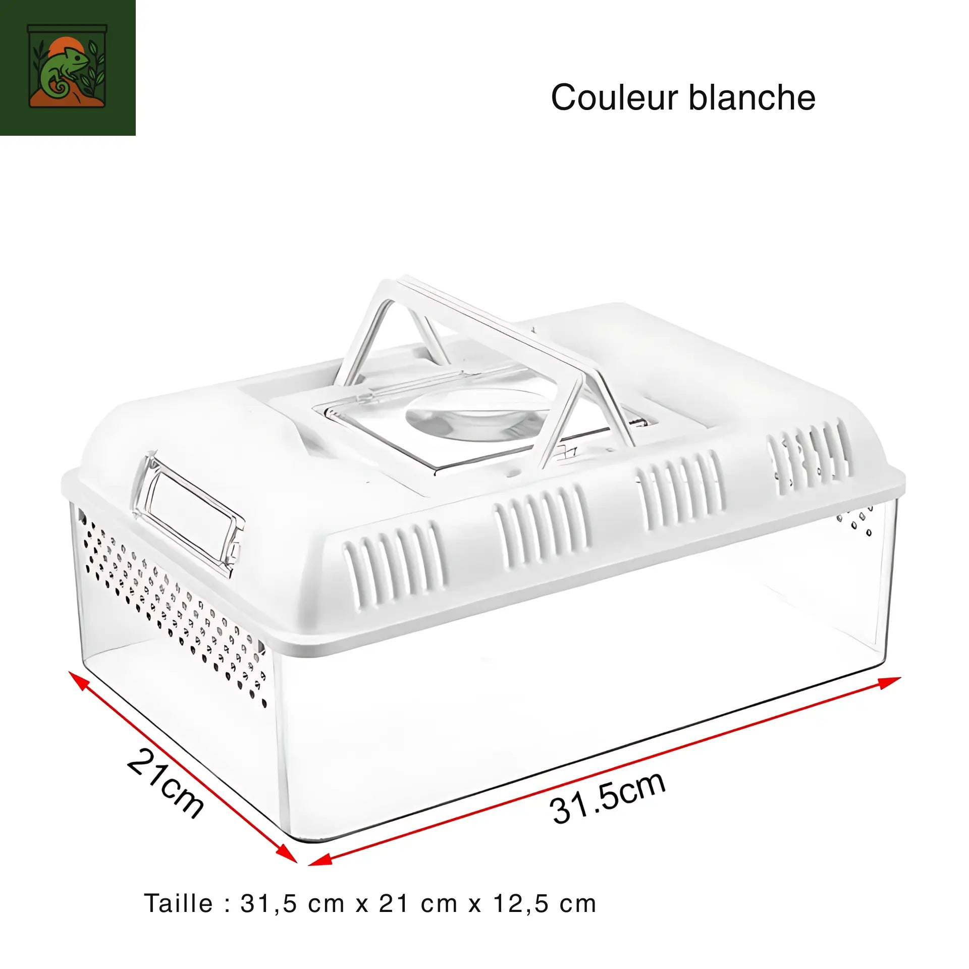 Terrarium Portable Transparent -  Léger et Ventilé 