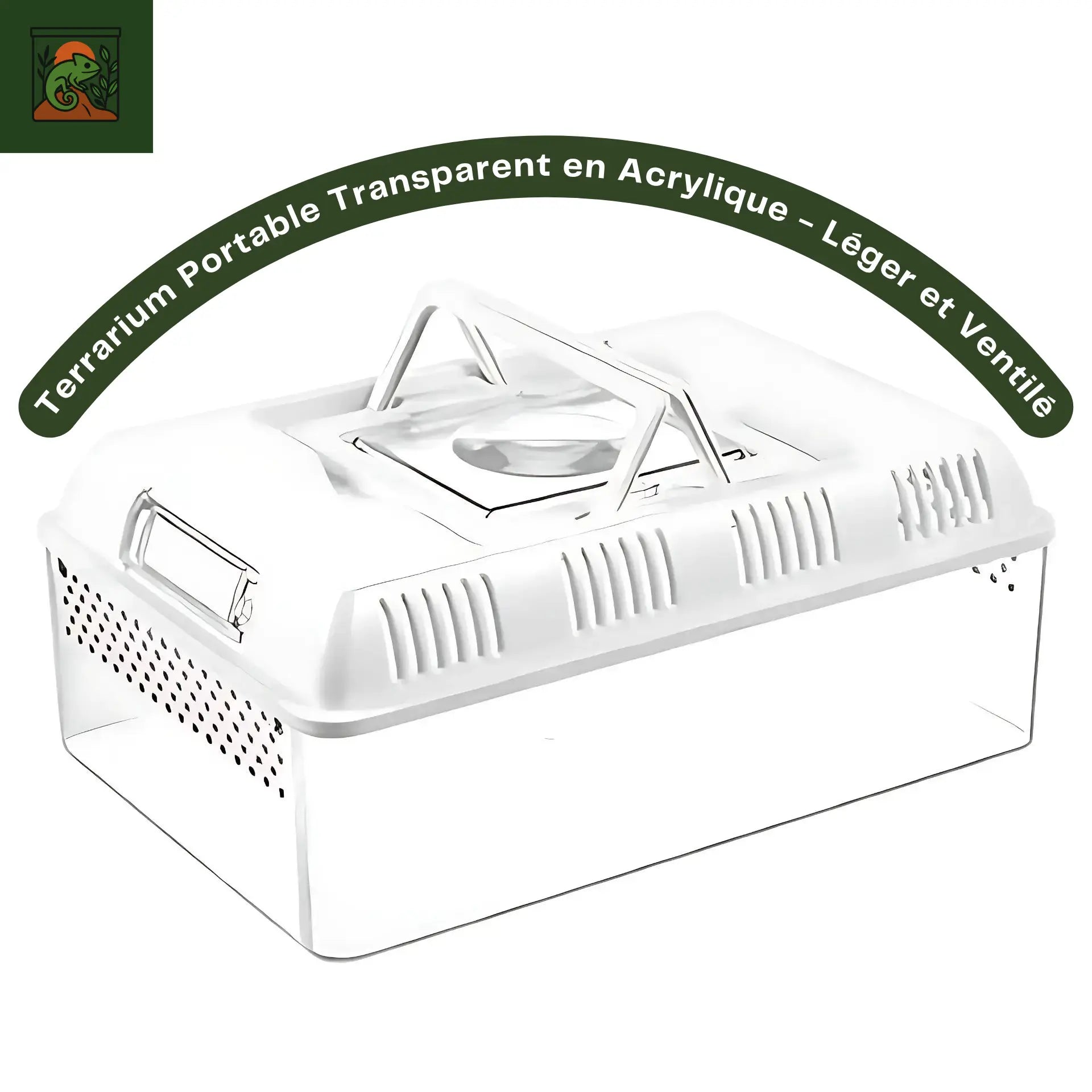 Terrarium Portable Transparent en Acrylique -  Léger et Ventilé 