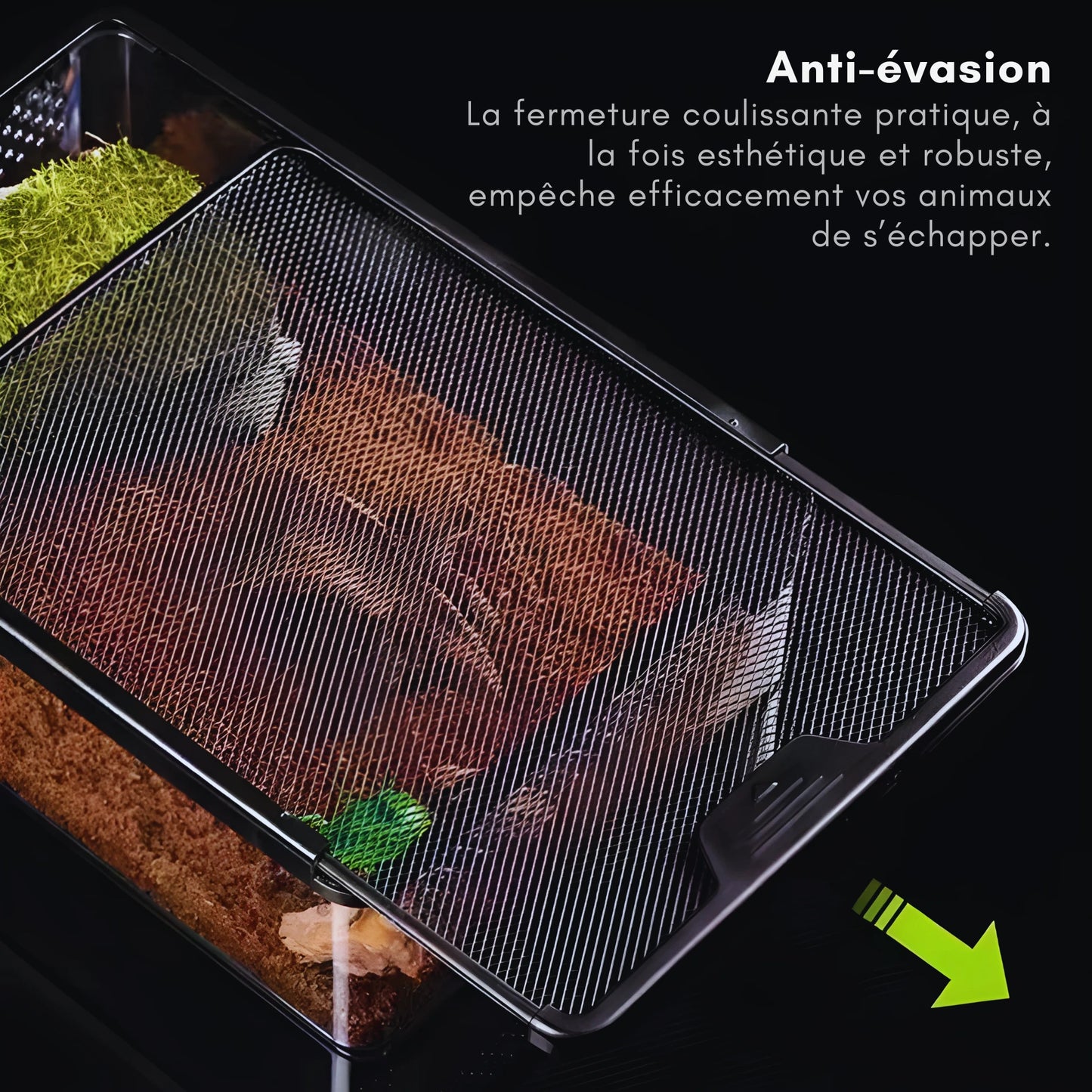 Terrarium Transparent de Nourrissage 