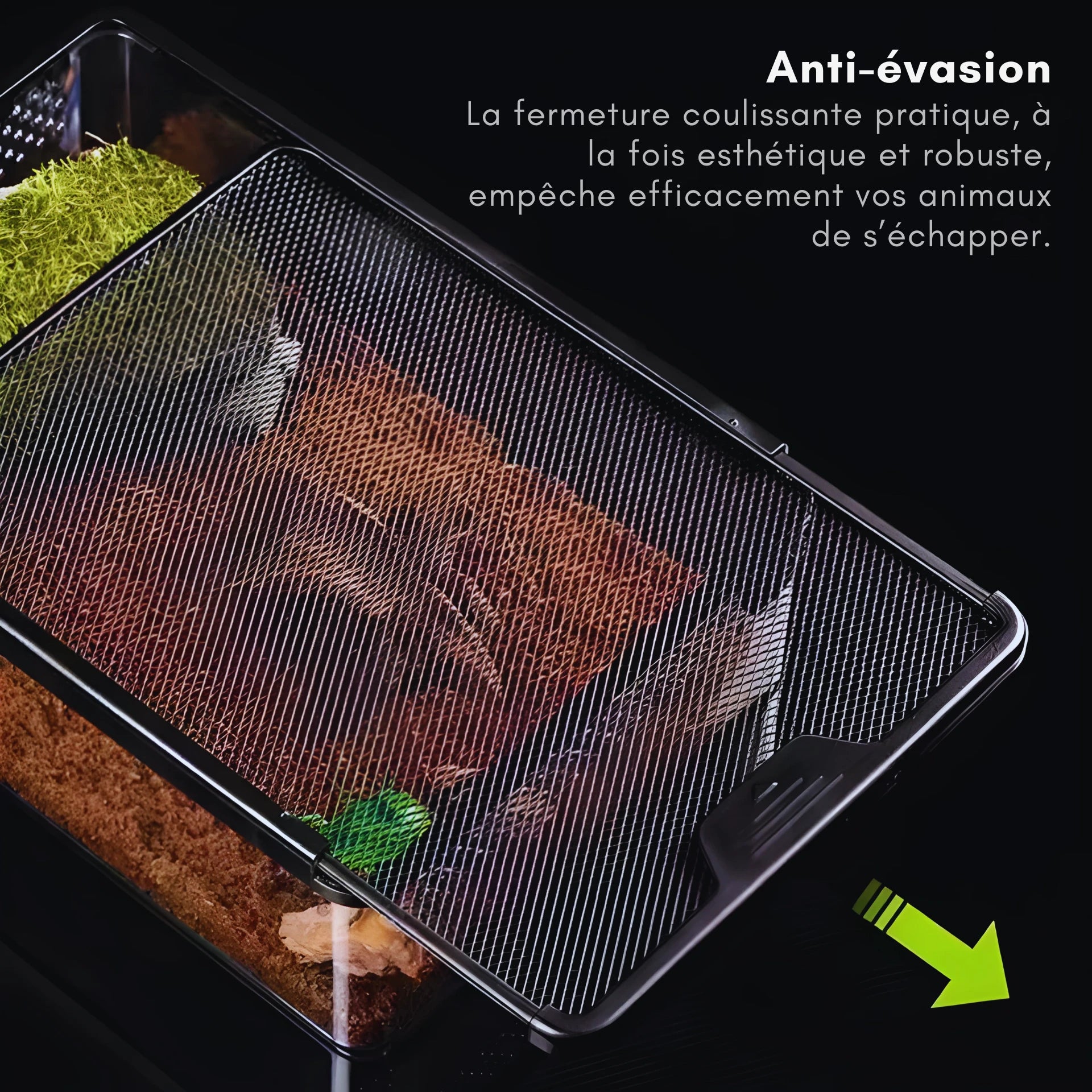Terrarium Transparent de Nourrissage 