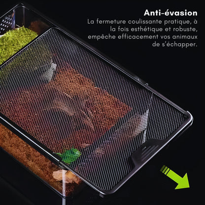Terrarium Transparent de Nourrissage 