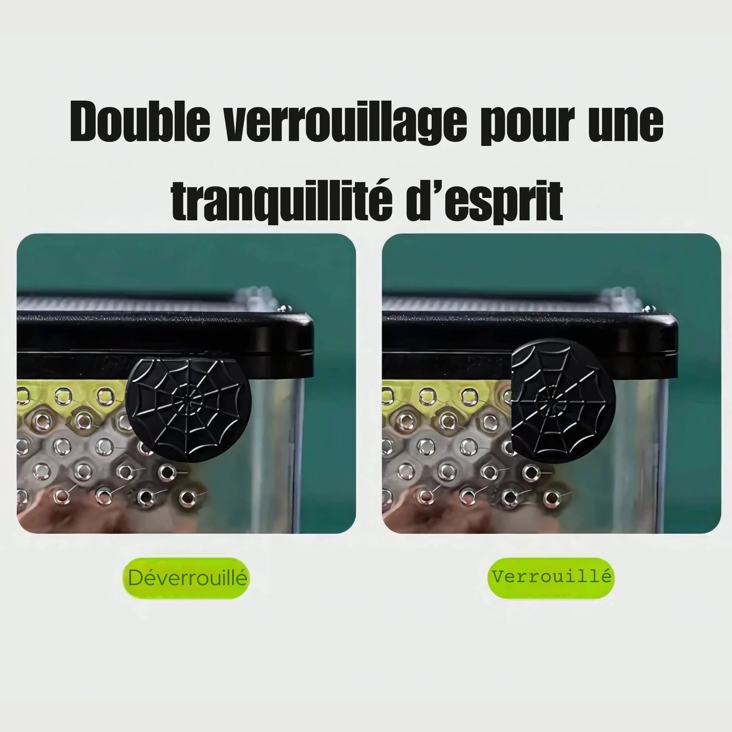 Terrarium Transparent de Nourrissage 
