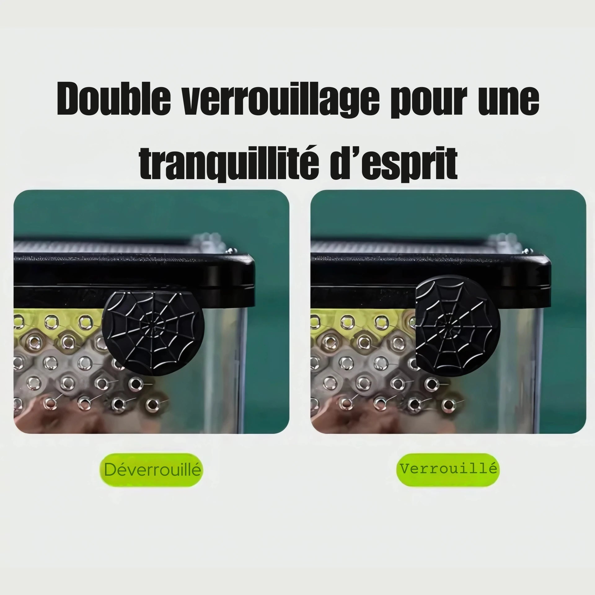 Terrarium Transparent de Nourrissage 
