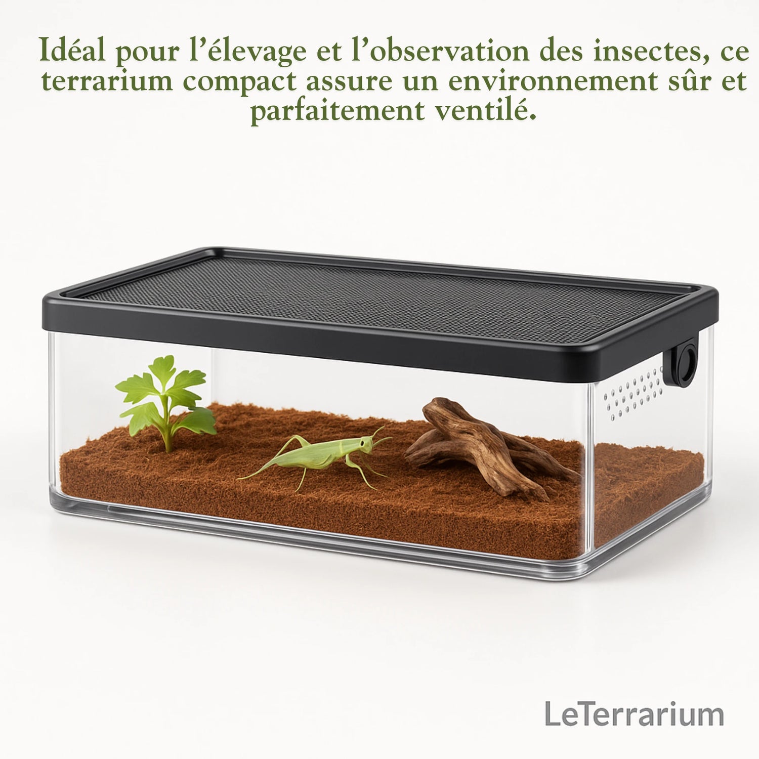 Terrarium Transparent de Nourrissage 