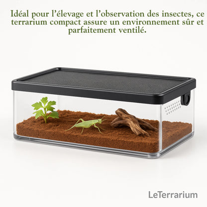 Terrarium Transparent de Nourrissage 