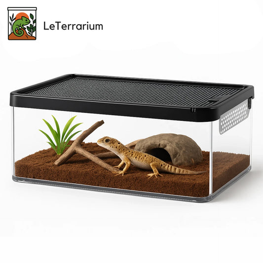 Terrarium Transparent de Nourrissage 