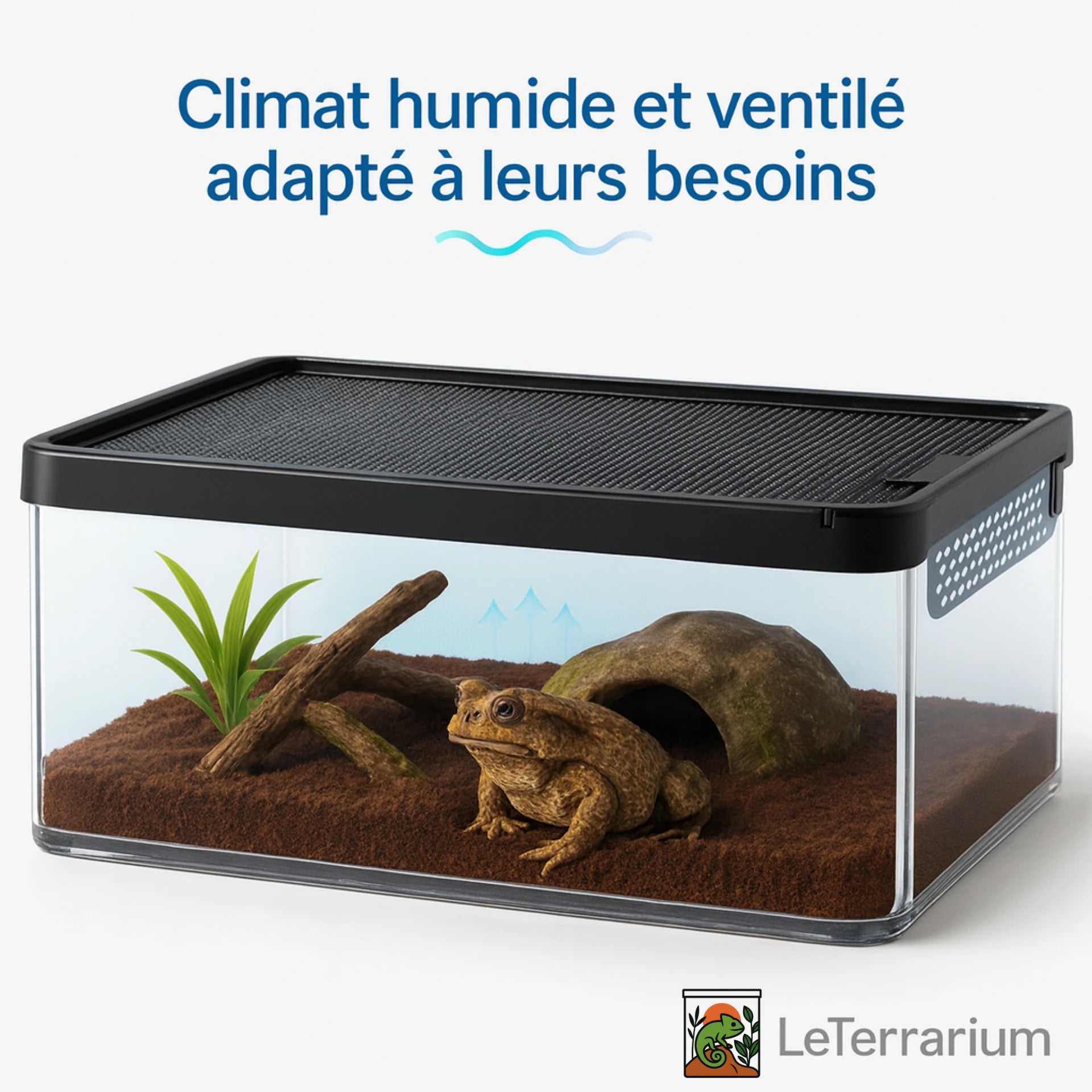 Terrarium Transparent de Nourrissage 