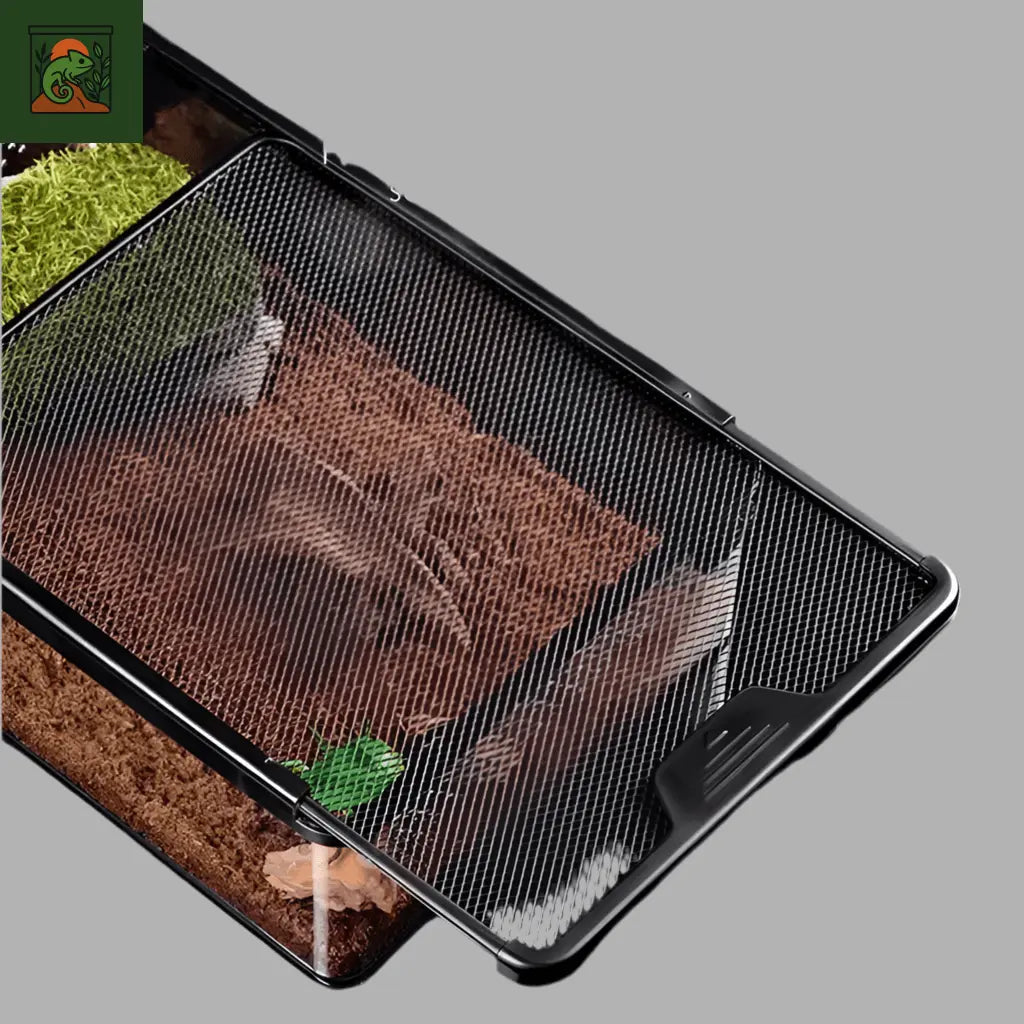 Terrarium Transparent de Nourrissage - LeTerrarium