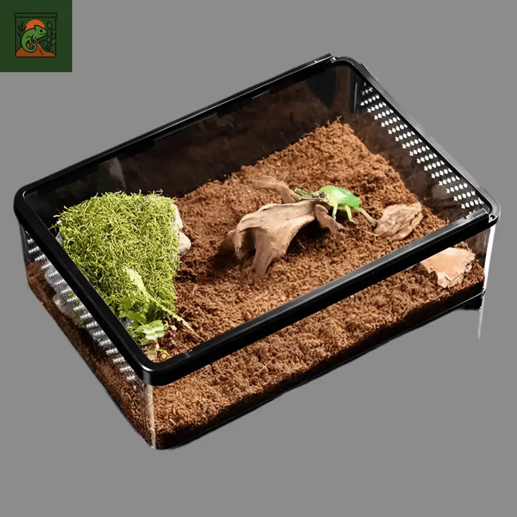 Terrarium Transparent de Nourrissage - LeTerrarium