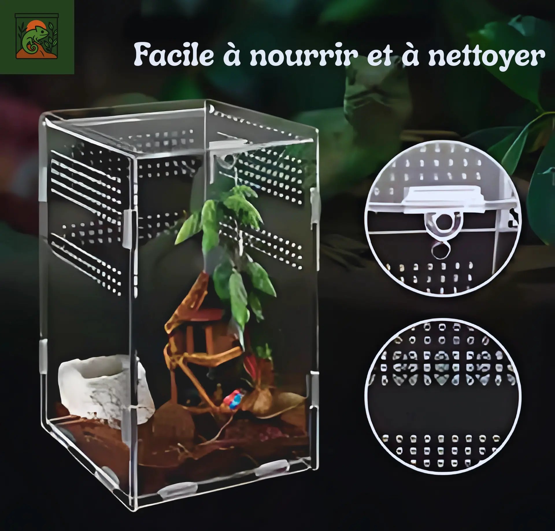 Terrarium Transparent en Acrylique 