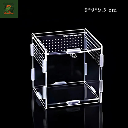 Terrarium Transparent en Acrylique 