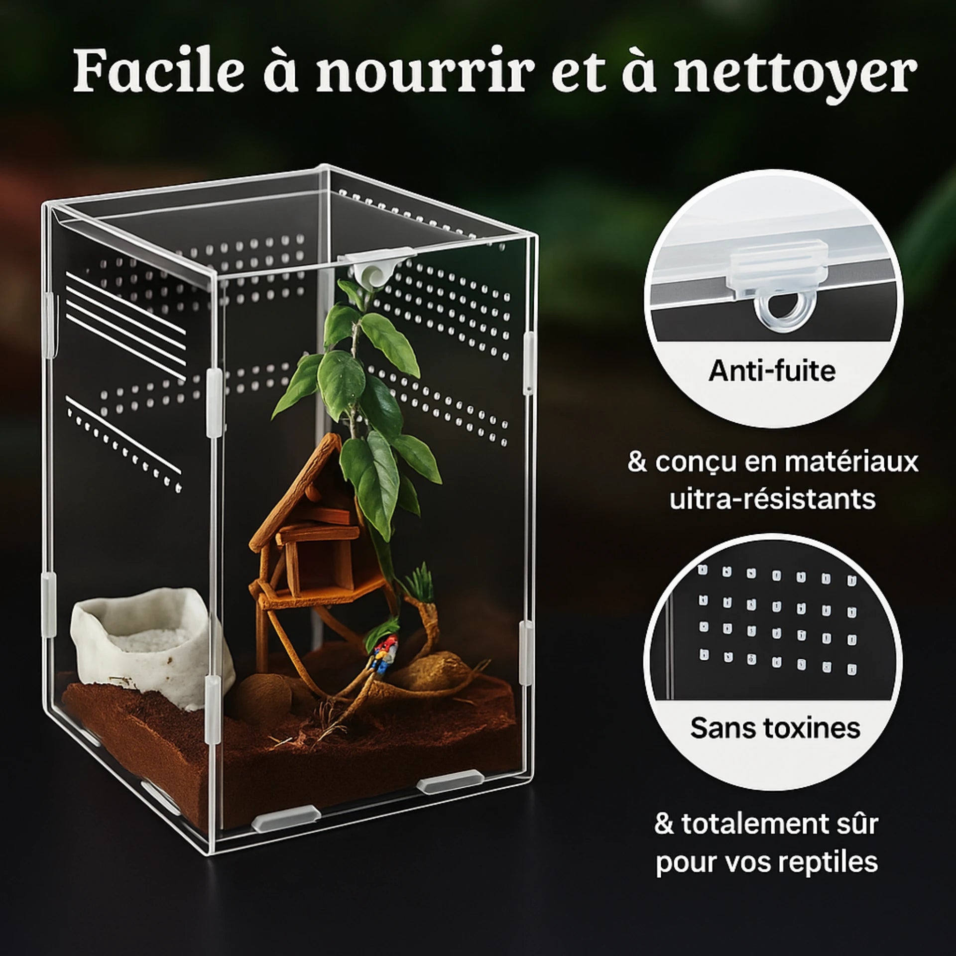 Terrarium Transparent en Acrylique Vertical 