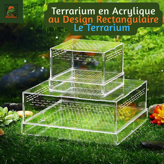 Terrarium Transparent en Acrylique de forme rectangulaire 
