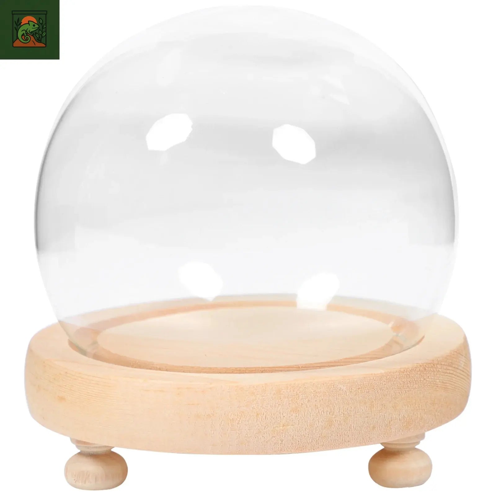 Cloche en verre à Base de bois, couvercle d'exposition de fleurs, Vase anti-poussière, pot de cloche, dôme en verre, vitrine de plantes artificielles, fleur préservée pour la maison 