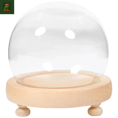 Cloche en verre à Base de bois, couvercle d'exposition de fleurs, Vase anti-poussière, pot de cloche, dôme en verre, vitrine de plantes artificielles, fleur préservée pour la maison 