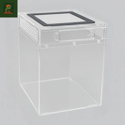 Terrarium amphibiens Transparent 