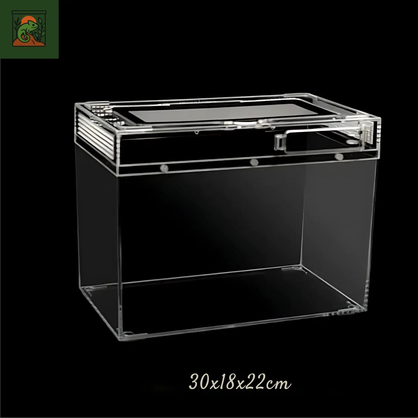 Terrarium amphibiens Transparent 