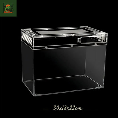 Terrarium amphibiens Transparent 