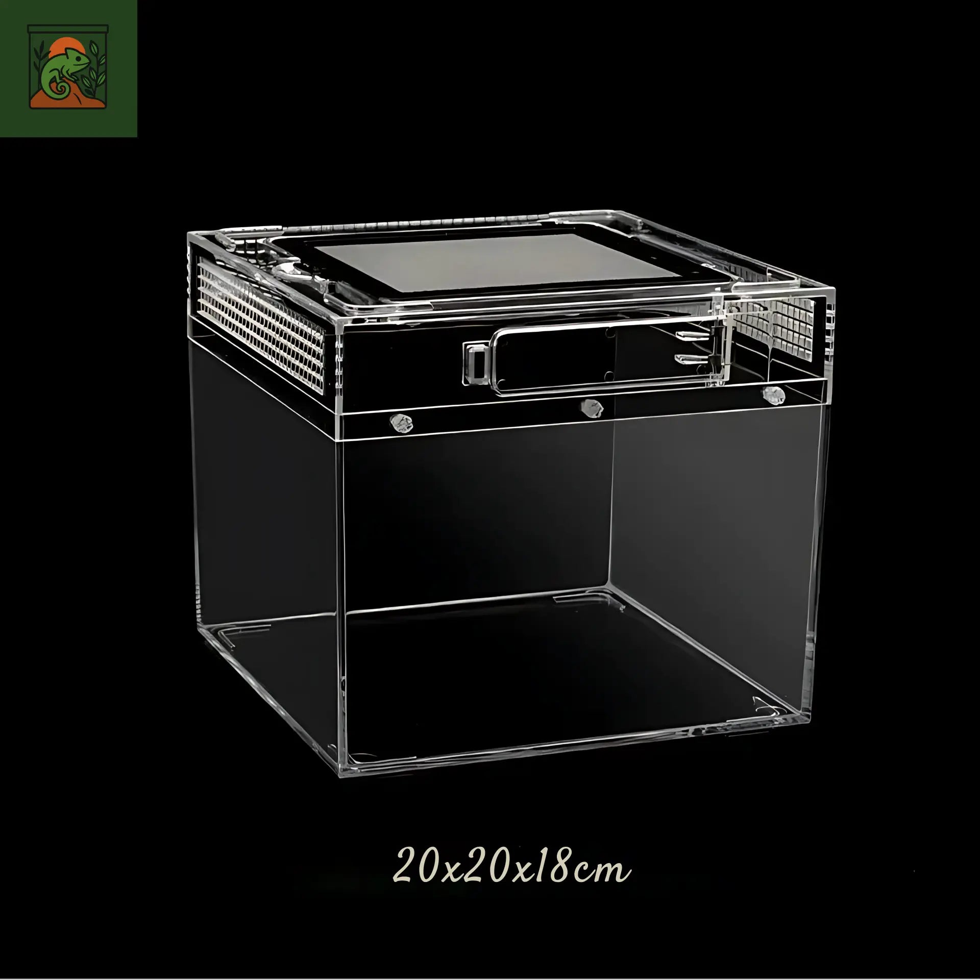 Terrarium amphibiens Transparent 