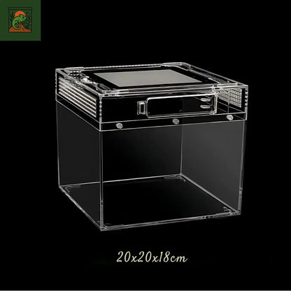 Terrarium amphibiens Transparent 