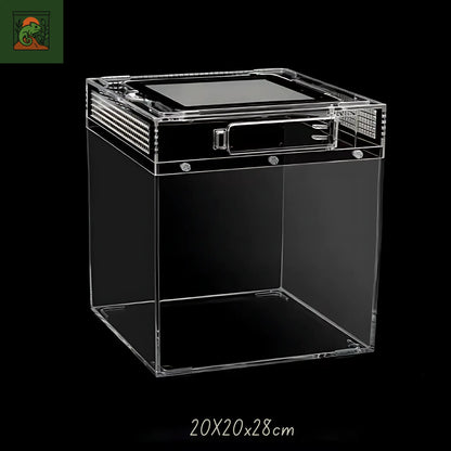 Terrarium amphibiens Transparent 