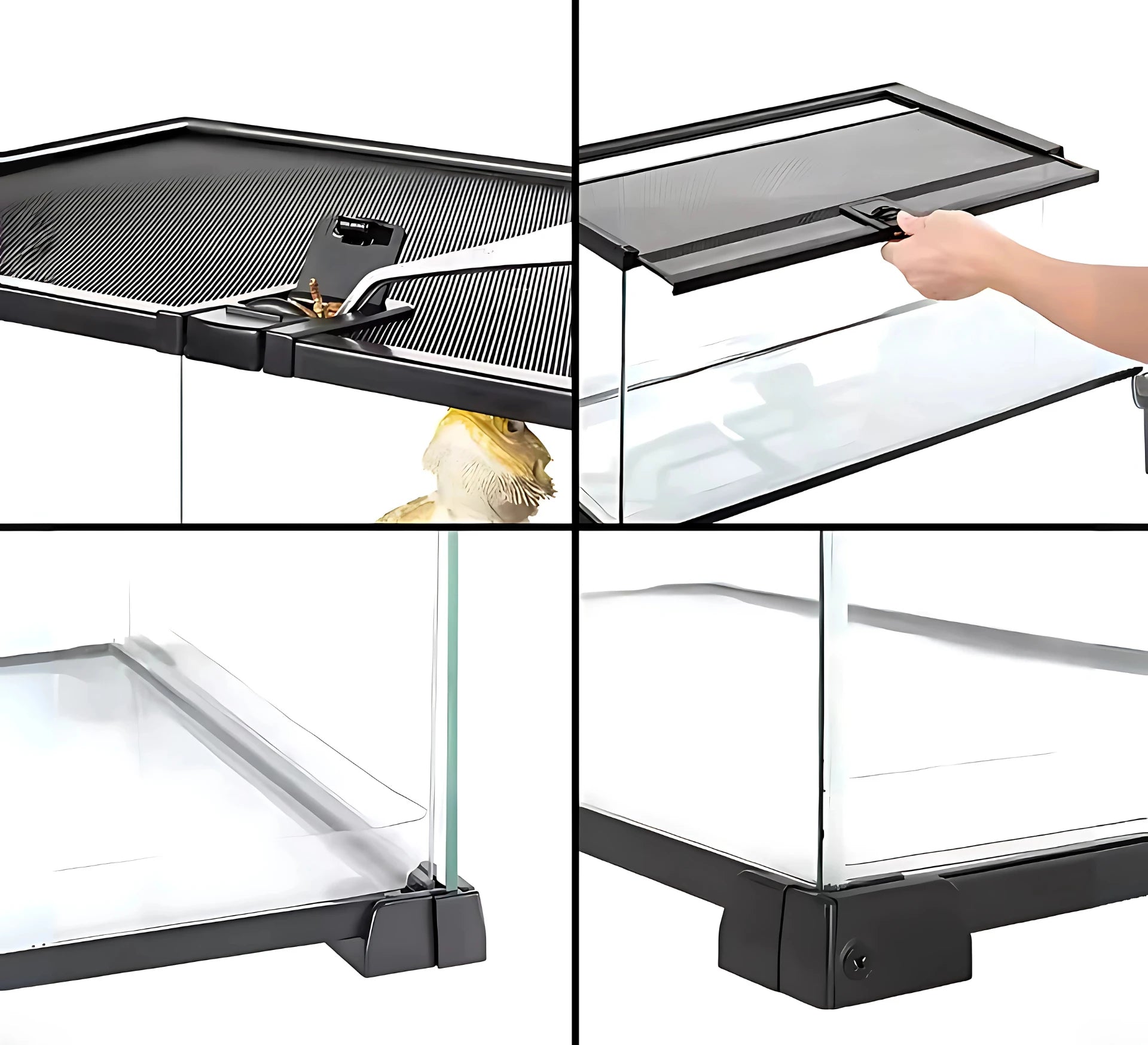 Terrarium avec Couvercle Coulissant (50 × 25 × 30 cm) 