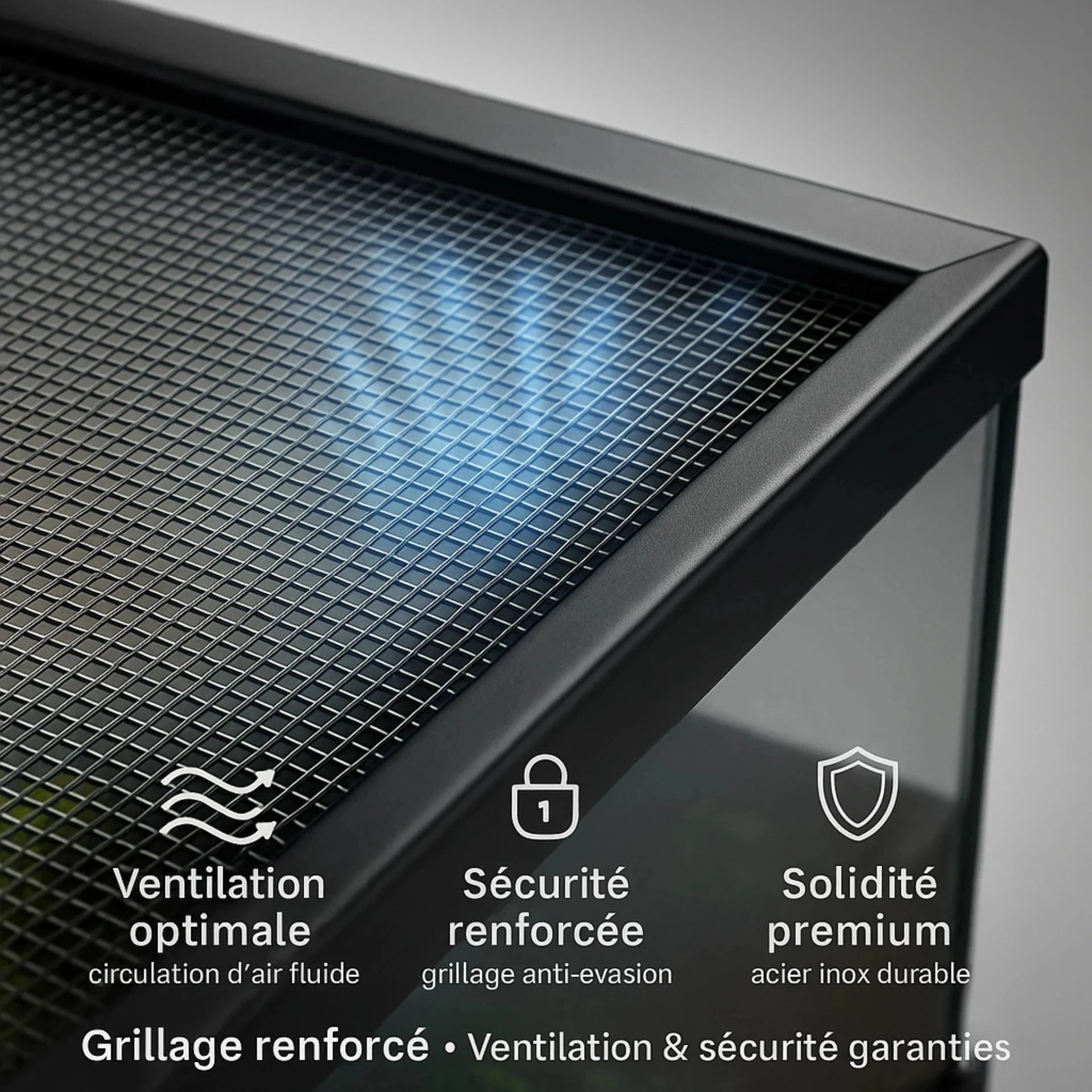 Terrarium en Verre 50×30×25 cm (10 Gallons) 