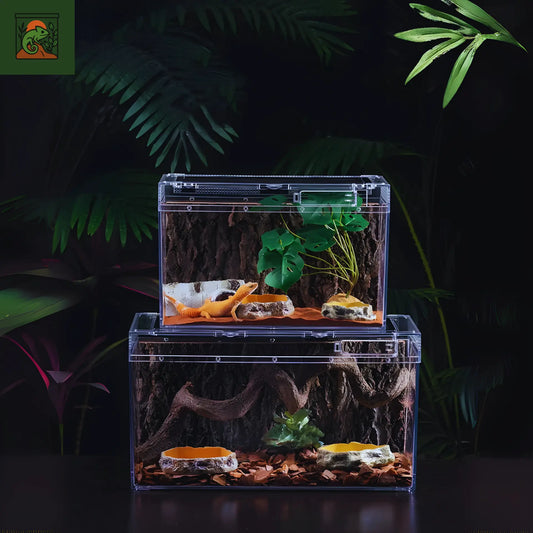 Terrarium carré en acrylique transparent – Léger et durable pour reptiles 