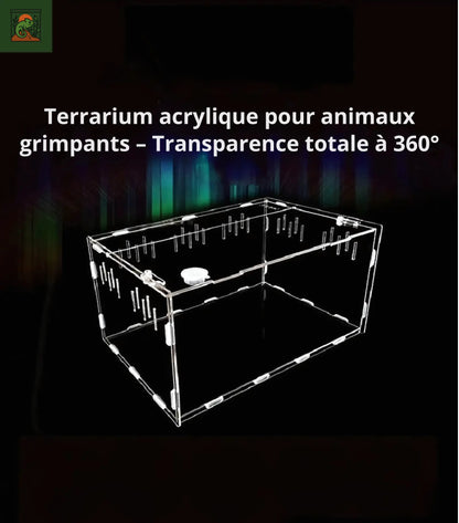 Terrarium en Acrylique Multi-Compartiments 